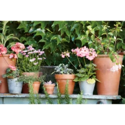 Terracotta Long Tom Plant Pot - 23cm 7 Terracotta Long Tom Plant Pot - 23cm -Garden Decoration Shop 12805967 1634833173292024