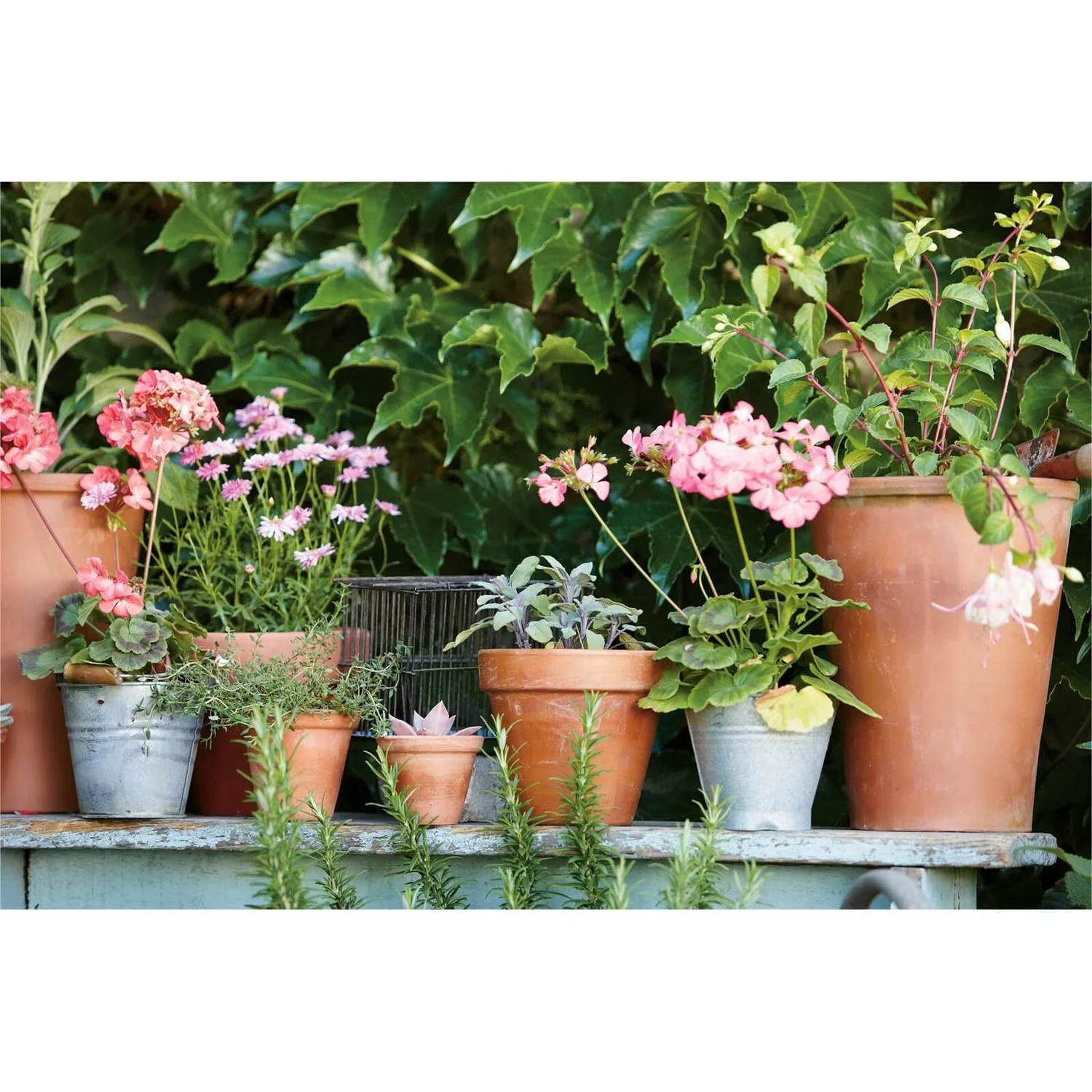 Terracotta Long Tom Plant Pot - 23cm 4 Terracotta Long Tom Plant Pot - 23cm - Image 2