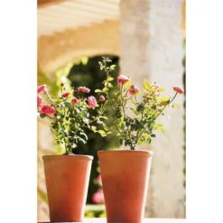 Terracotta Long Tom Plant Pot - 23cm 9 Terracotta Long Tom Plant Pot - 23cm -Garden Decoration Shop 12805967 1664833173242506