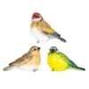 None Resin Blue Tit, Chaffinch & Robin Birds -Garden Decoration Shop 12832873 1995025282271590