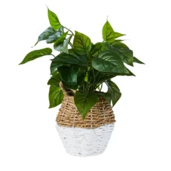 Garden Decoration Shop 36 Plant In Two Tone Basket - White & Natural