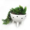 Trailing Plant In White Pot With Legs -Garden Decoration Shop 12833718 6054831603897446