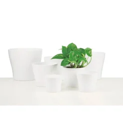 White Plant Pot - 31cm 5 White Plant Pot - 31cm -Garden Decoration Shop 12838175 1504833203673783