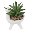 Artificial Alpaca Spikey Succulent -Garden Decoration Shop 12879279 1444858347936702