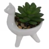 Artificial Alpaca Flower Succulent -Garden Decoration Shop 12879280 8804858347936726