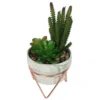 Artificial Succulent In Rose Gold Stand -Garden Decoration Shop 12879282 4604858348076790