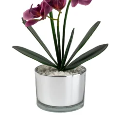 Orchid With Silver Glass Pot - Purple -Garden Decoration Shop 12879285 1054864281948609