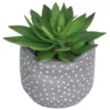 Small Succulent - Grey -Garden Decoration Shop 12909500 1044869235473987