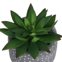 Small Succulent - Grey -Garden Decoration Shop 12909500 1734869235660464