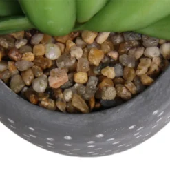 Small Succulent - Grey -Garden Decoration Shop 12909500 5574869235621944