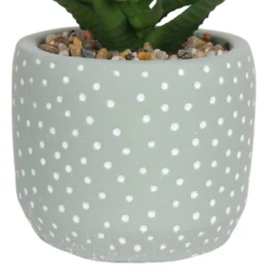 Small Succulent - Green -Garden Decoration Shop 12909501 1514869235621446