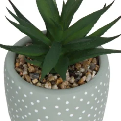 Small Succulent - Green -Garden Decoration Shop 12909501 2094869235594320