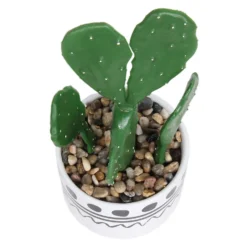 Cactus In Abstract Pot -Garden Decoration Shop 12909502 1064869235554777
