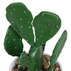 Cactus In Abstract Pot -Garden Decoration Shop 12909502 1344869235594629
