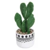 Cactus In Abstract Pot -Garden Decoration Shop 12909502 7774869235493475