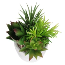Mixed Succulent In Grey Pot -Garden Decoration Shop 12909503 2024869235594281