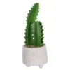 Cactus In Textured Pot -Garden Decoration Shop 12909506 1524869235473324