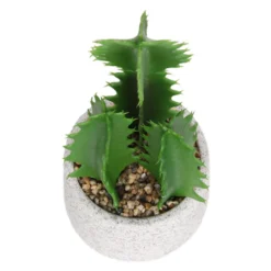 Cactus In Textured Pot -Garden Decoration Shop 12909506 2804869235539384