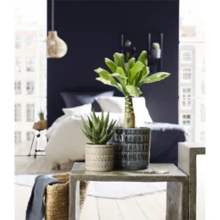 Scheurich Alma Blue Ceramic Pot - 16cm -Garden Decoration Shop 12912147 7604845867852591