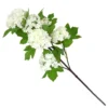 Viburnum - White -Garden Decoration Shop 12913557 8544866647480637