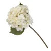Hydrangea - Creamy Blush -Garden Decoration Shop 12913562 7914845851793924