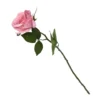 Rose - Light Pink -Garden Decoration Shop 12913565 1254845852030804