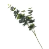 Eucalyptus - Green 1 Eucalyptus - Green -Garden Decoration Shop 12913566 1204845851947653