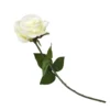 Rose - Cream -Garden Decoration Shop 12913569 1064845852001881