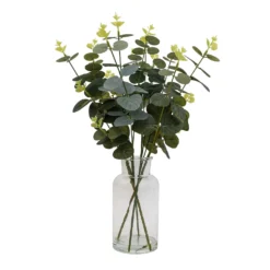 Garden Decoration Shop 29 Eucalyptus In Glass Vase