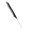 Pampas - Black -Garden Decoration Shop 13103166 1624893783832773