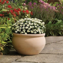 Regency Terracotta Bowl - 28cm -Garden Decoration Shop 13176837 8994933182875829