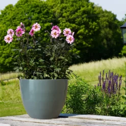 Chiswick Egg Pot Grey 42cm -Garden Decoration Shop 13176838 1294953205081035