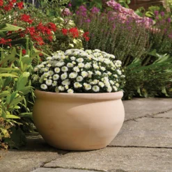 Regency Terracotta Bowl - 37cm -Garden Decoration Shop 13176839 1914933182838257