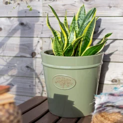 Country Living Heritage Sage Cone Pot - 21cm -Garden Decoration Shop 13188766 1704933183287279