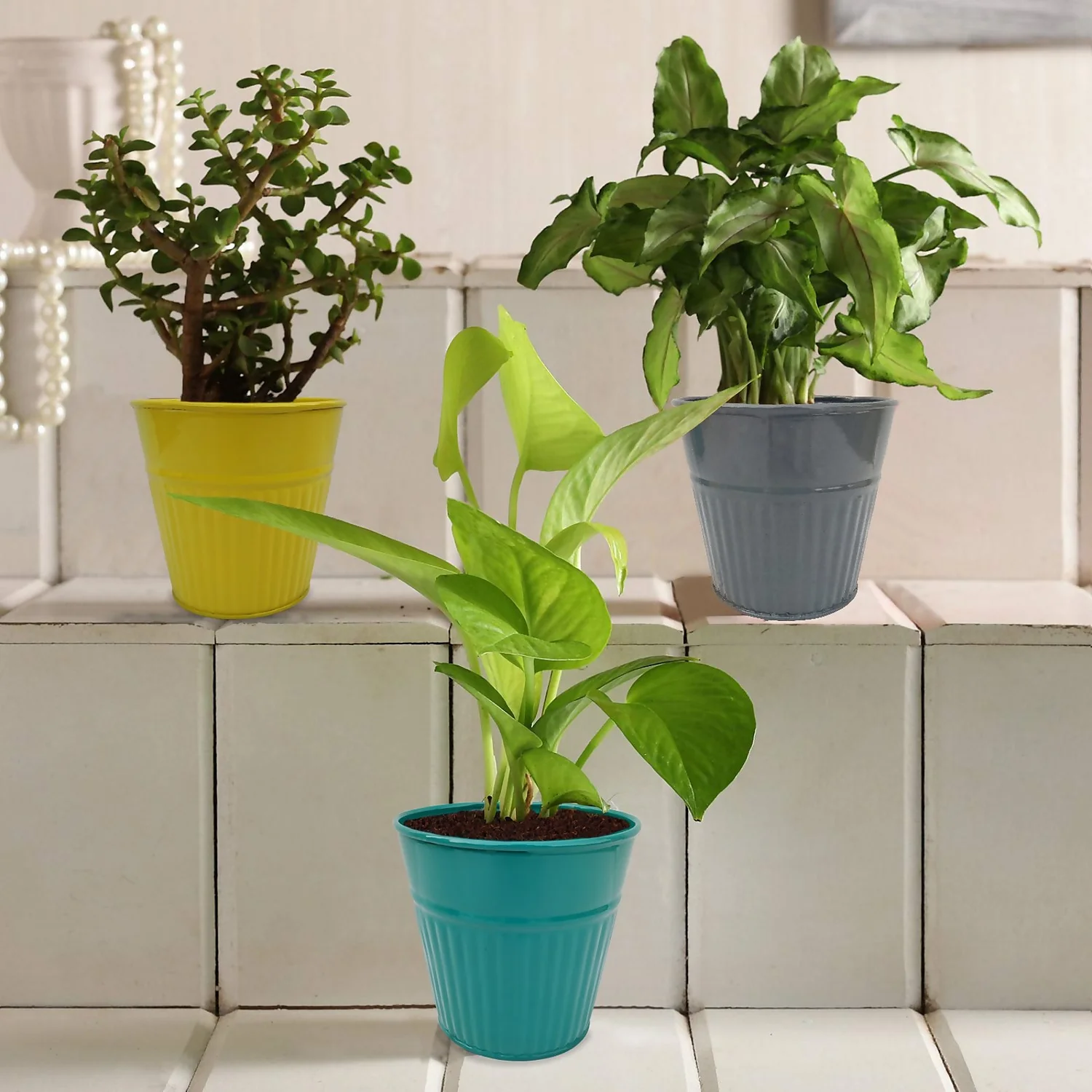 Ribbed Planter (3 Colour Mix) - 10cm 4 Ribbed Planter (3 Colour Mix) - 10cm - Image 2