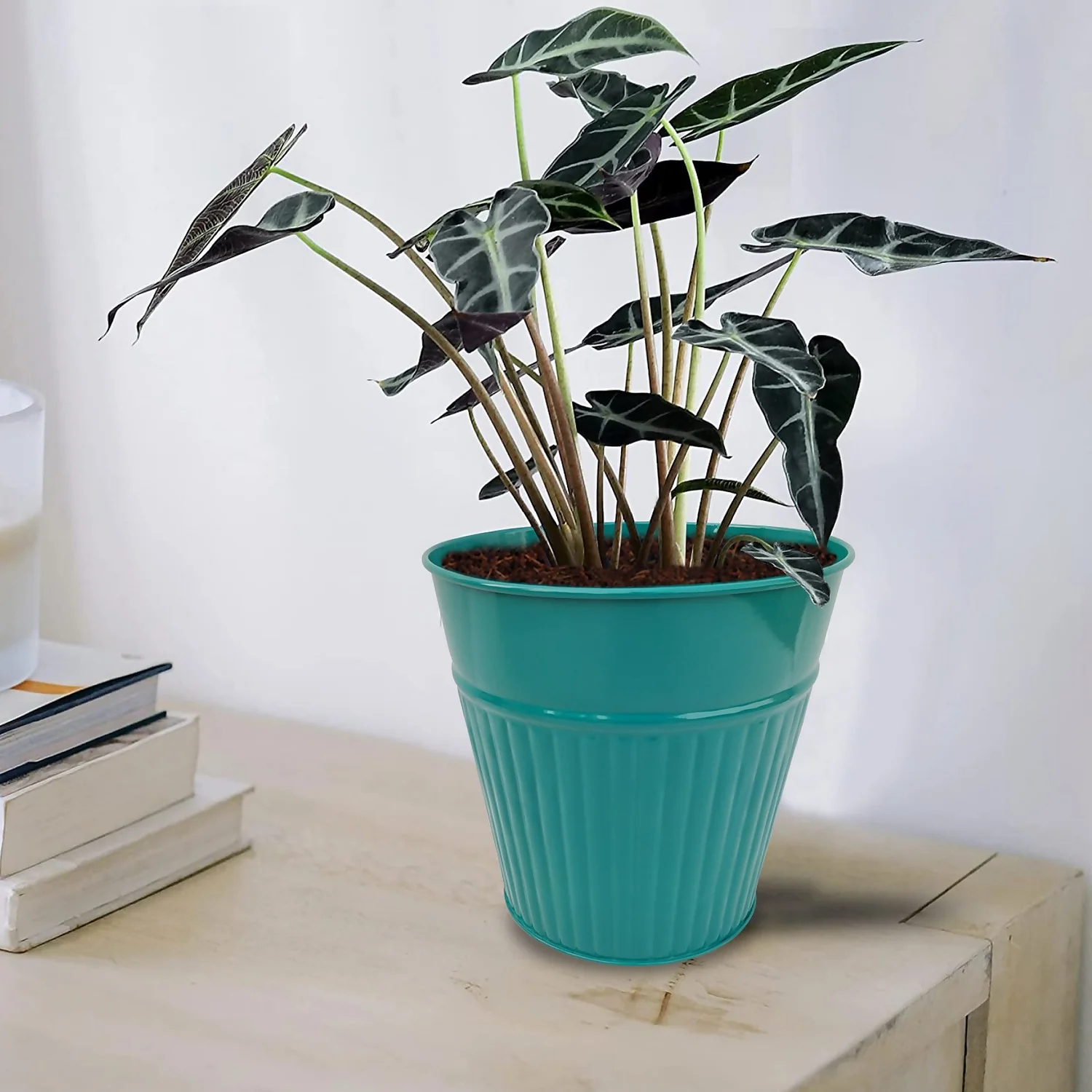 Ribbed Planter (3 Colour Mix) - 14cm 10 Ribbed Planter (3 Colour Mix) - 14cm - Image 8