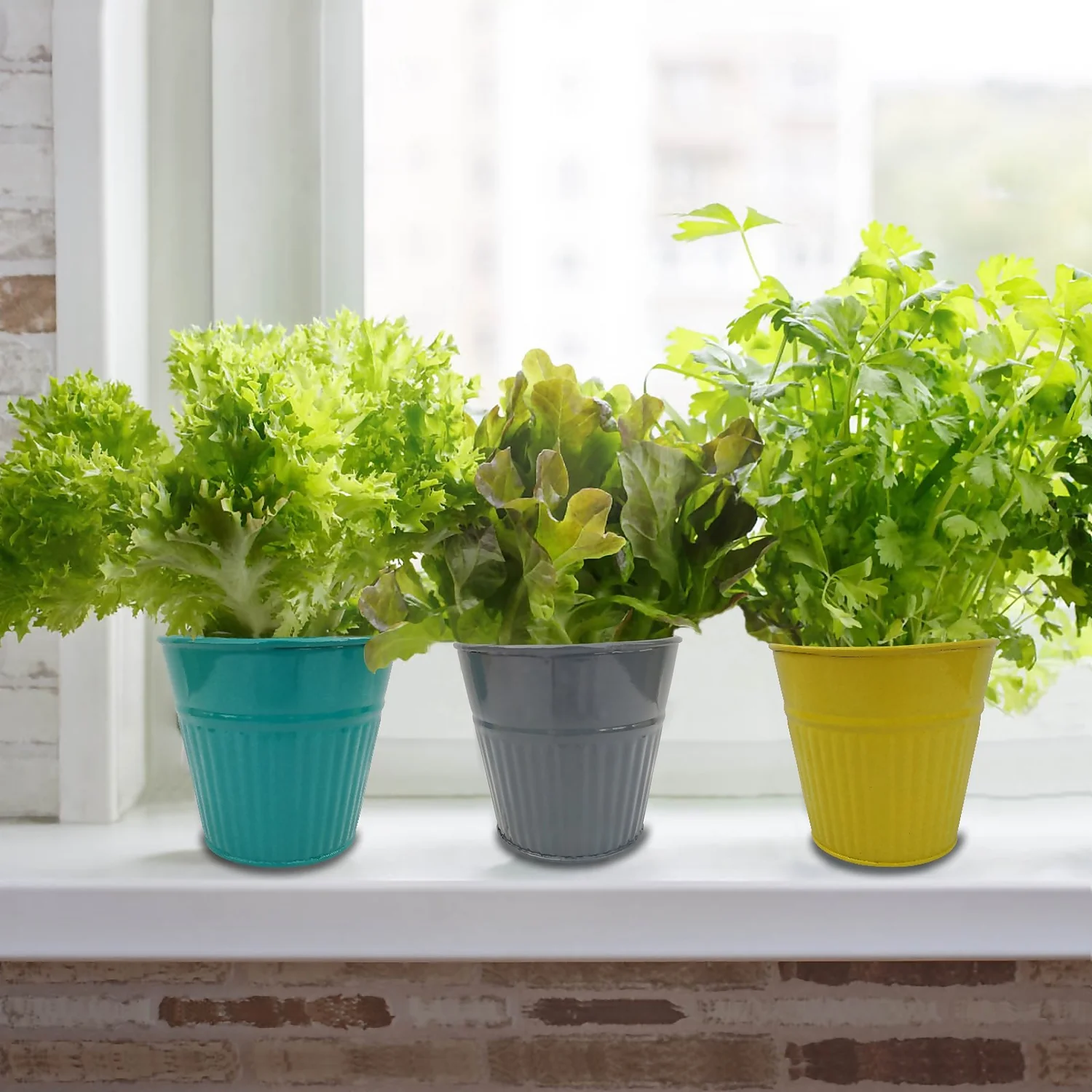 Ribbed Planter (3 Colour Mix) - 14cm 4 Ribbed Planter (3 Colour Mix) - 14cm - Image 2