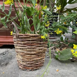 Natural Weave Round Garden Planter 25cm -Garden Decoration Shop 13204835 6704951328905980