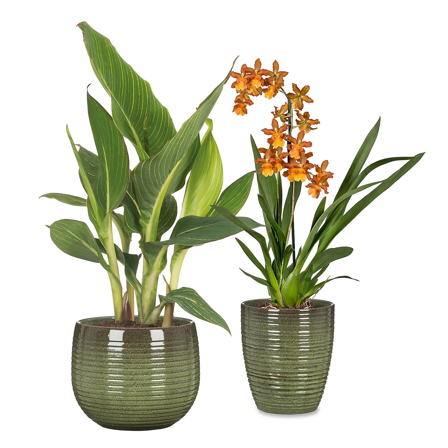 Jungle Green Plant Pot - 18cm 4 Jungle Green Plant Pot - 18cm - Image 2