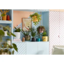 Jungle Green Plant Pot - 16cm 5 Jungle Green Plant Pot - 16cm -Garden Decoration Shop 13432900 2554948249994568