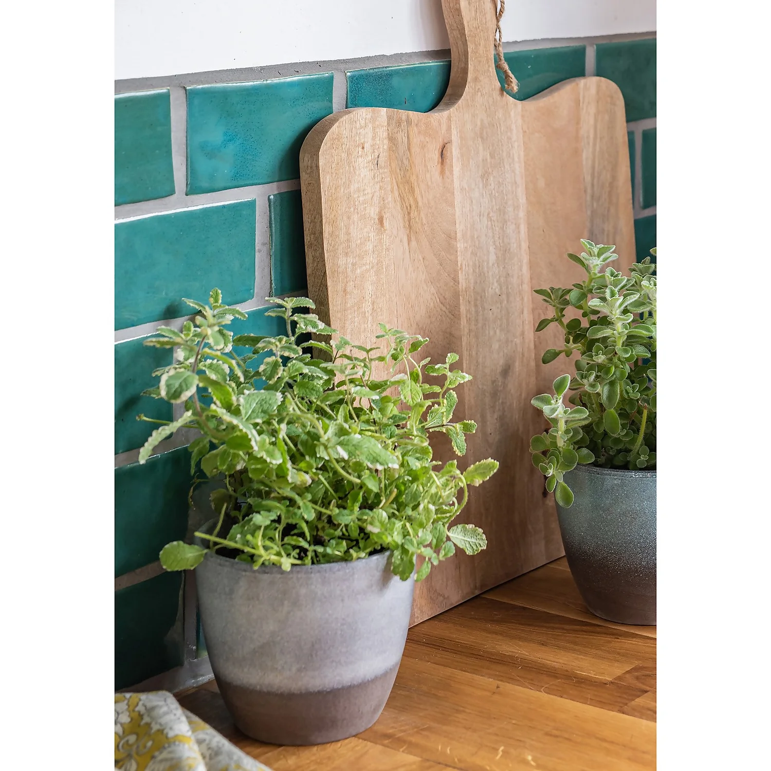 Hampton Moon Plant Pot - 19cm 4 Hampton Moon Plant Pot - 19cm - Image 2