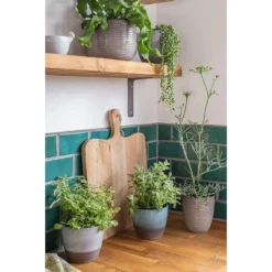 Hampton Moon Plant Pot - 16cm -Garden Decoration Shop 13432908 9454914553323723