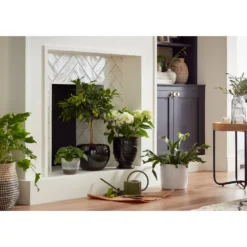 Perla White Plant Pot - 13cm -Garden Decoration Shop 13432916 5354948242882381