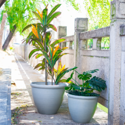 Ashford Planter Grey 35cm -Garden Decoration Shop 13928636 1795001955680876