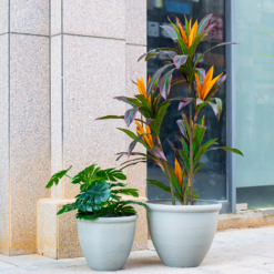 Ashford Planter Grey 35cm -Garden Decoration Shop 13928636 4345001955583745