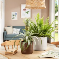 Scheurich Ripple Brown Indoor Pot - 12cm 5 Scheurich Ripple Brown Indoor Pot - 12cm -Garden Decoration Shop 13953252 9174987119752376