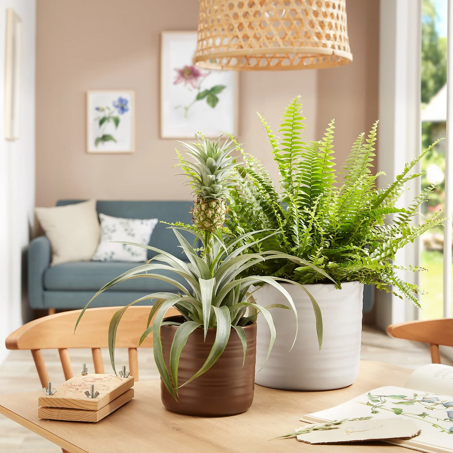 Scheurich Ripple Brown Indoor Pot - 17cm 4 Scheurich Ripple Brown Indoor Pot - 17cm - Image 2