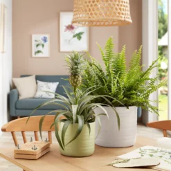 Scheurich Ripple White Indoor Pot - 28cm 7 Scheurich Ripple White Indoor Pot - 28cm -Garden Decoration Shop 13953263 9804987120214778