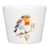 Scheurich Robin Indoor Pot - 13cm 2 Scheurich Robin Indoor Pot - 13cm -Garden Decoration Shop 13953270 5084987119858354