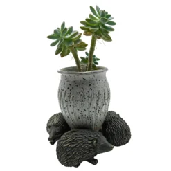 Homebase Hedgehog Pot Feet -Garden Decoration Shop 13955521 3535014597200270